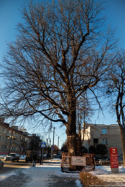Тот самый Бобруйск